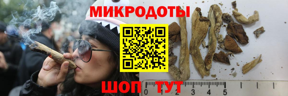 Галлюциногенные грибы GOLDEN TEACHER  Галлюциногенные грибы Psilocybe  Вход с VPN  Чайковский 